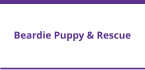 Beardie Puppy & Rescue